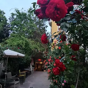 Casa Michelangelo , Bucharest Romania